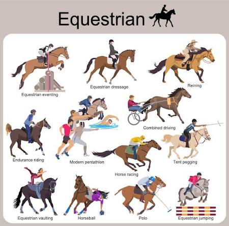 Equestrian Sports